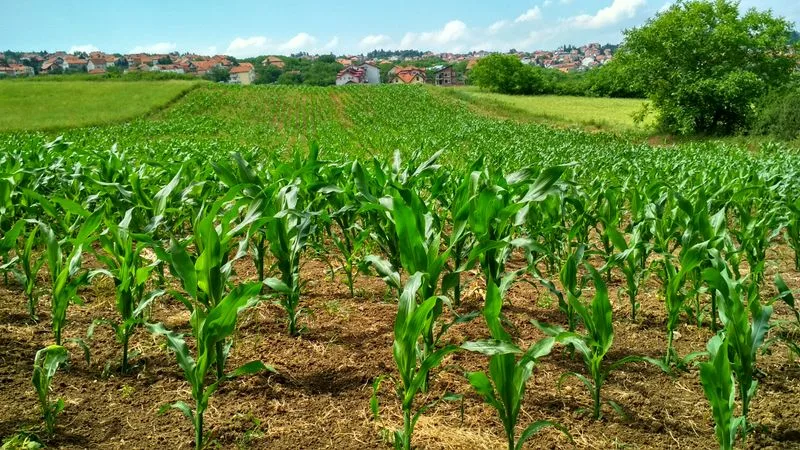 Agricultural Curtailment Module