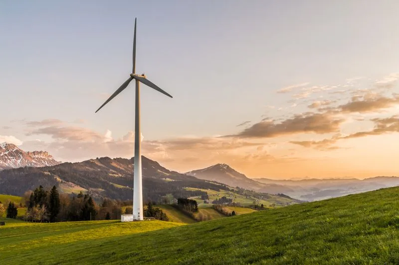 Avian Detection System Comparison in a Wind Farm
